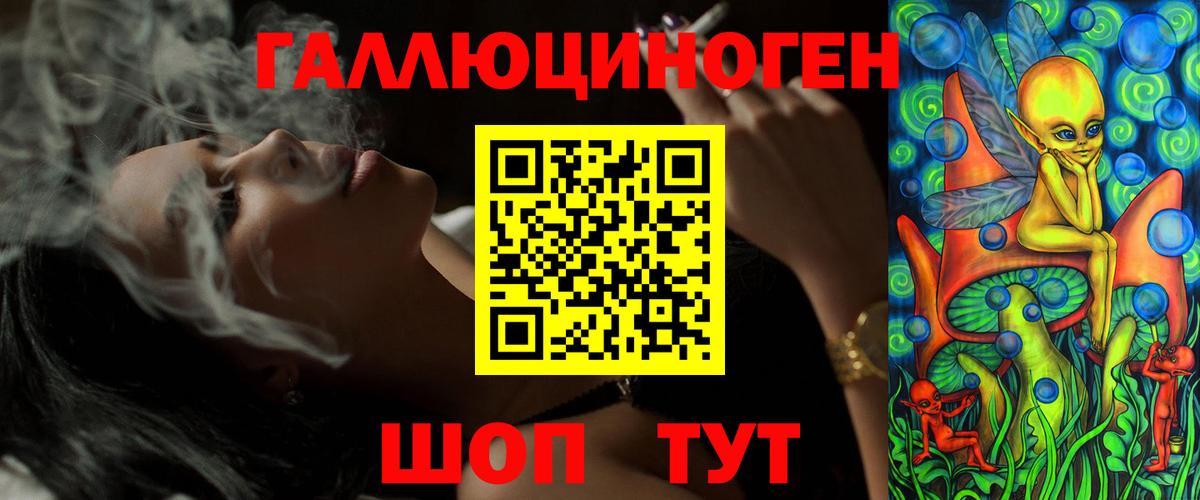 Псилоцибиновые грибы Psilocybine cubensis Горно-Алтайск